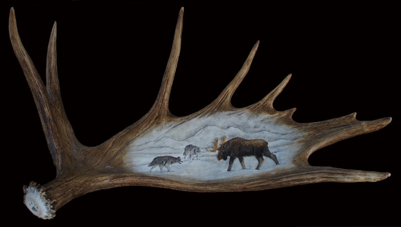 Moose Antler Carving